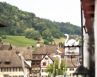 Great Places to Visit Near Zurich: Swan storefront in Stein am Rhein