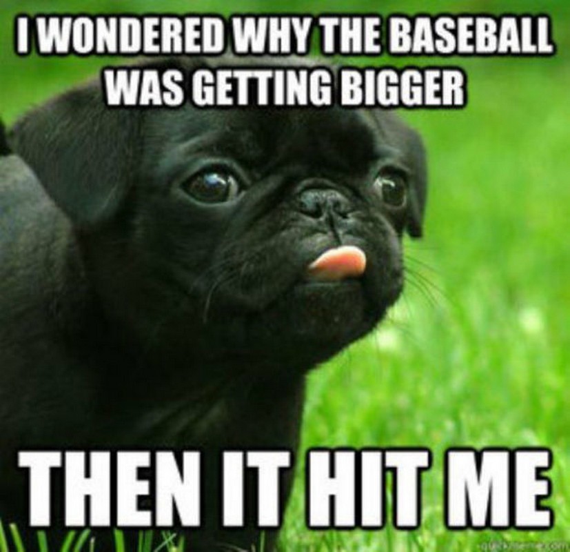 Чужая земля фильм 2021. Puns the ball then it hit me. Джей квик. Im wondering why. Картины my guns is my dogs.