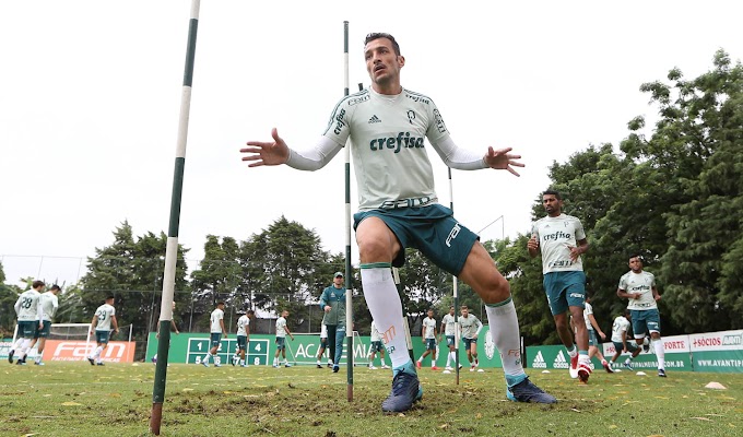 Sem Edu Dracena e Mayke, Palmeiras chega a cidade de Barranquilla