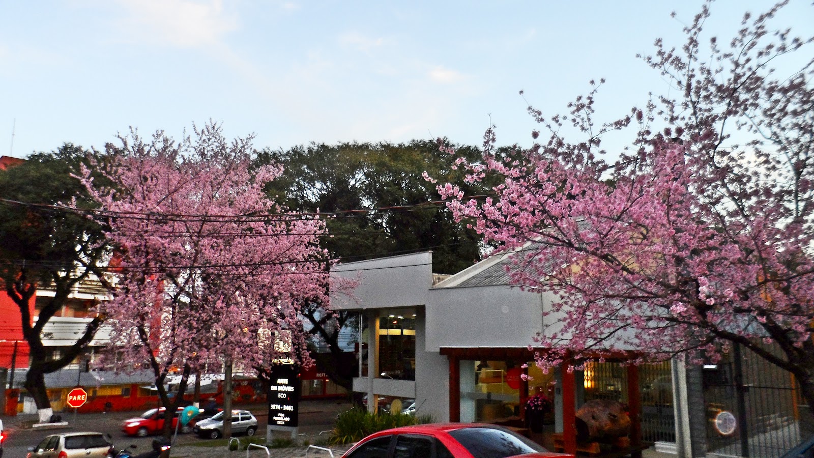 AlcBlog ''Rua das Cerejeiras'', Curitiba...