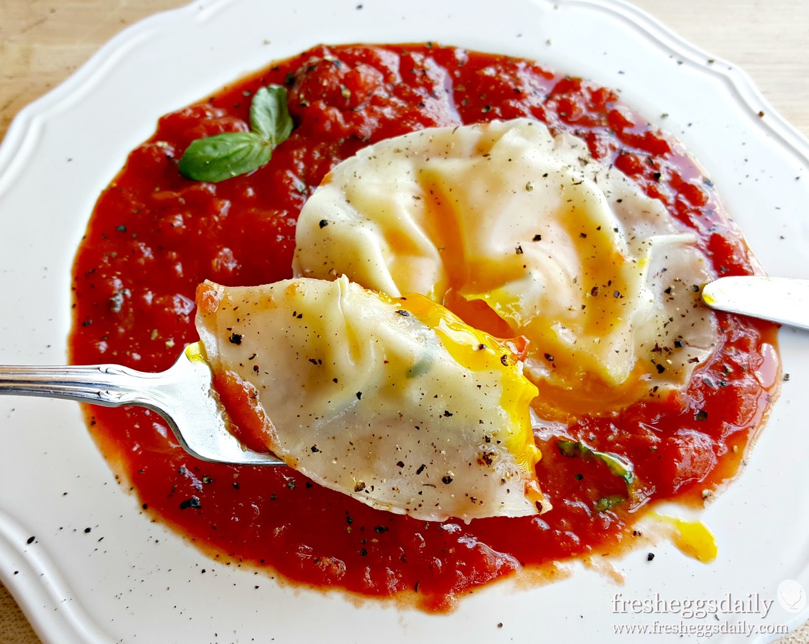 Egg Yolk Ravioli on a Bed of Basil Marinara Sauce Fresh Eggs Daily