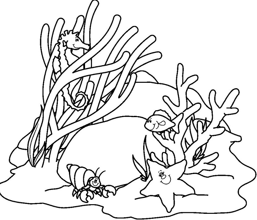 Sketsa Gambar Hewan Laut Terbaru | gambarcoloring
