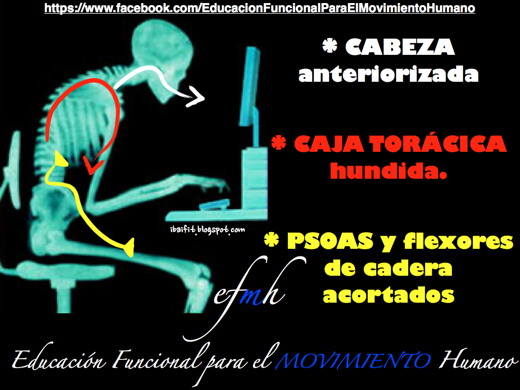 Dime De Donde Vienes Y Te Dire Quien Eres Letra Educación Funcional para el Movimiento Humano: septiembre 2013