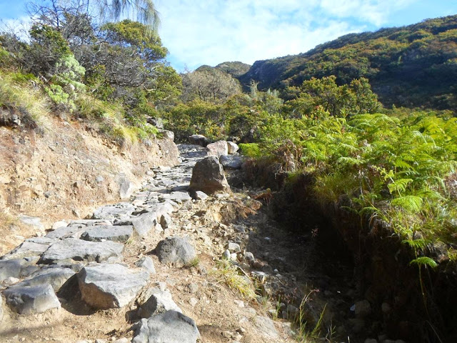 Jalur Pendakian Gunung Arjuno via Tretes