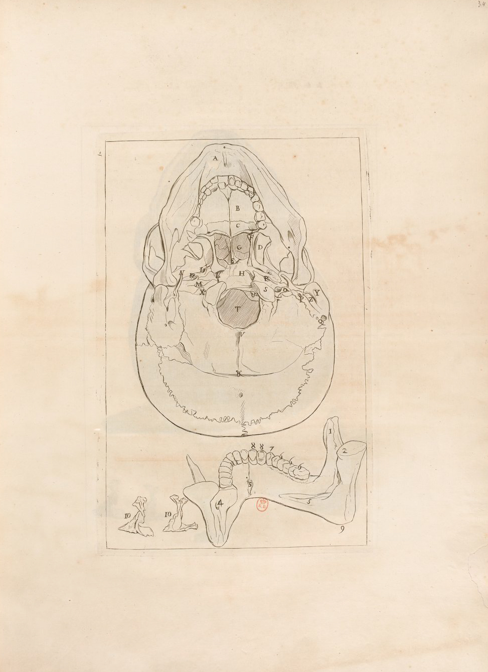 Research of Artistic Anatomy Jacques Gamelin “Nouveau recueil d