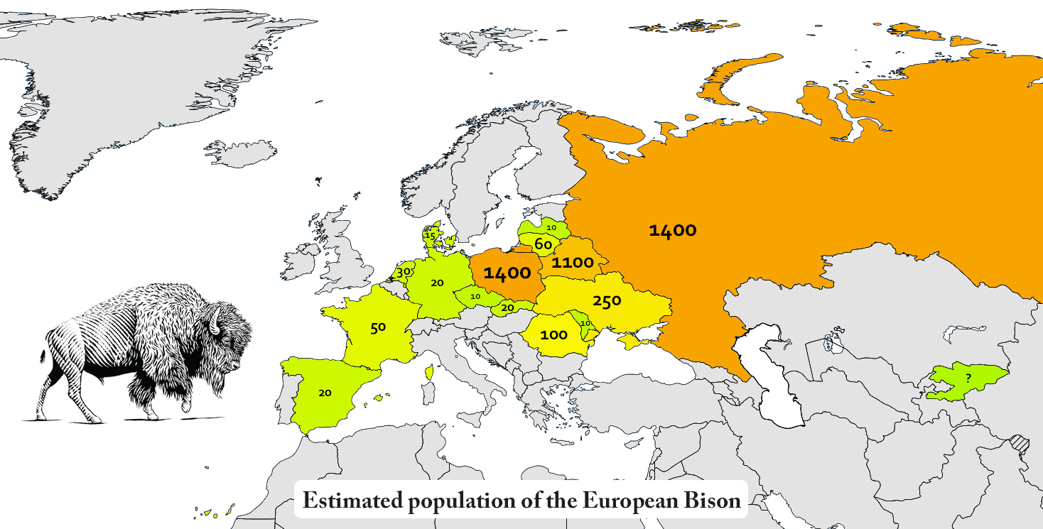 Estimated population of the European Bison, an animal that almost went extinct in the 20th century