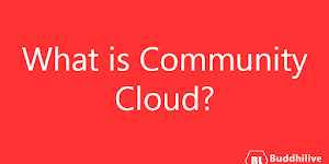 What is Community Cloud?