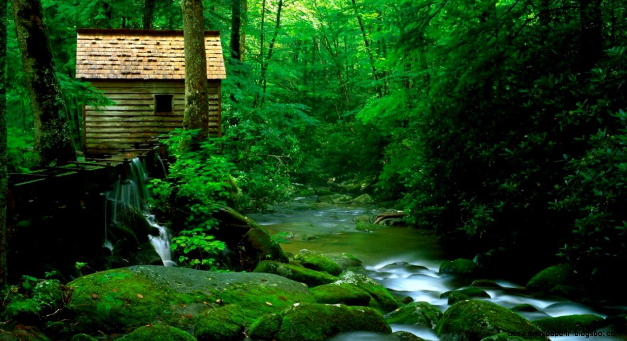 Beautiful Natural Scenery  Download HD Wallpapers