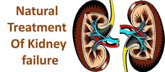 Natural Treatment of Kidney failure
