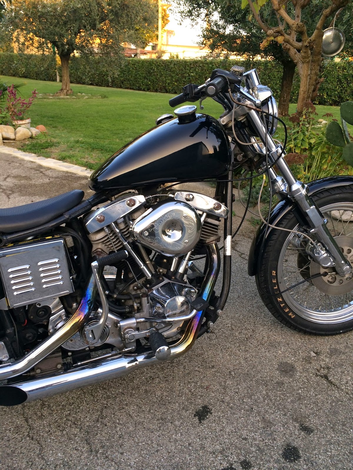 GalluzHead...... Be a Man ride a Pan HD Shovelhead FXE for sale