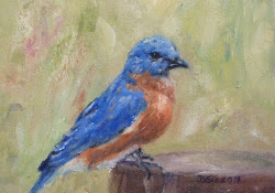 bluebird bird painting oil paintings animals wildlife stump debra sisson fowl canvas easy animal simple projects daily dailypainters artist raymar