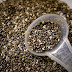 50 Amazing Benefits of Chia Seeds Miracle To Our Body