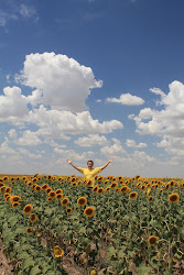 I am a sunflower!!