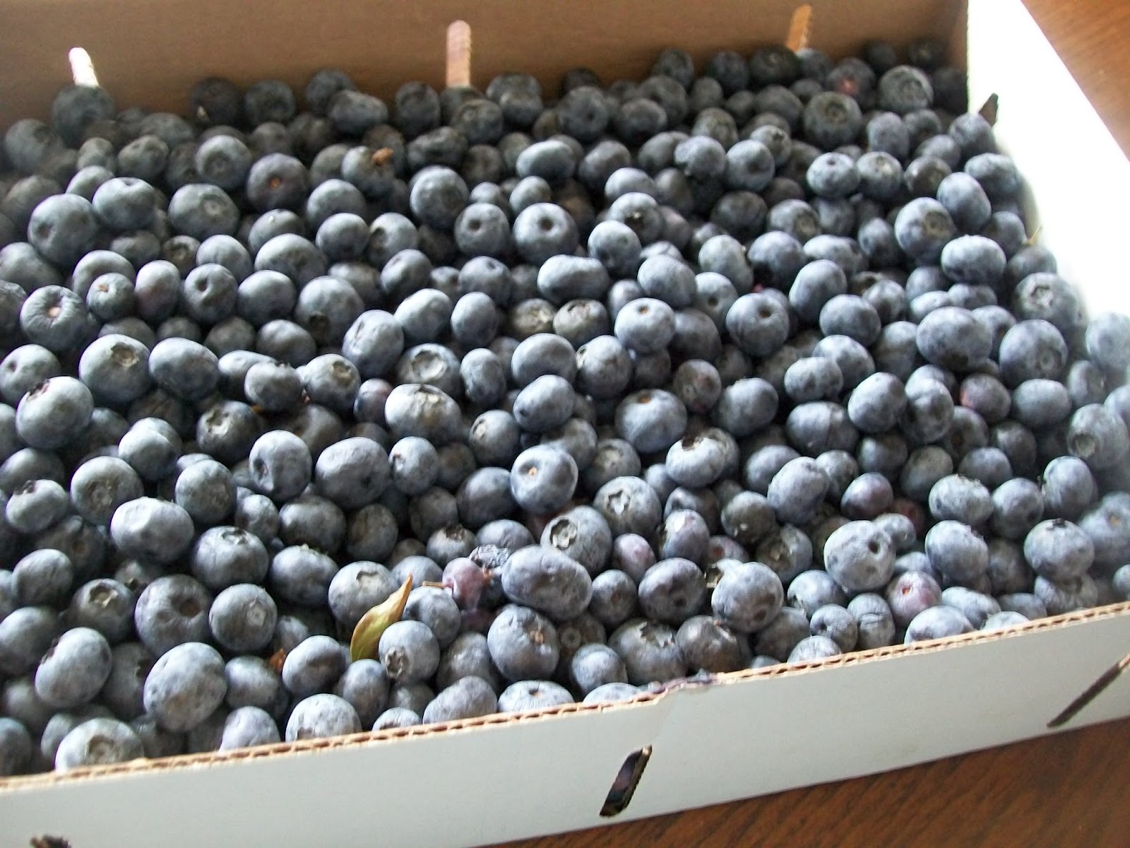 Michigan Cottage Cook BLUE CROP BLUEBERRIES ARE AT THE MARKETTHE