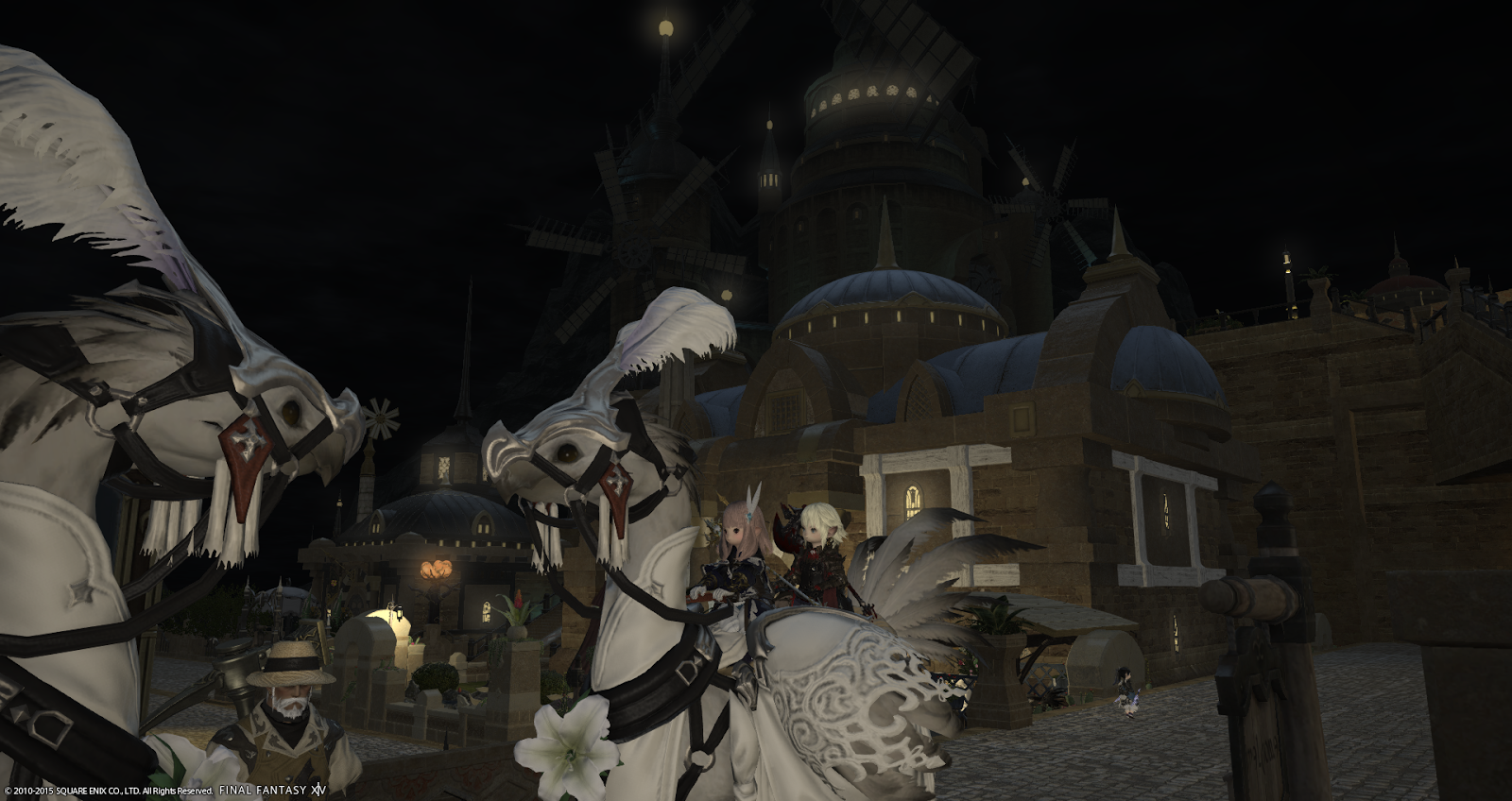 A Tank and a Healer. Fat chocobo head