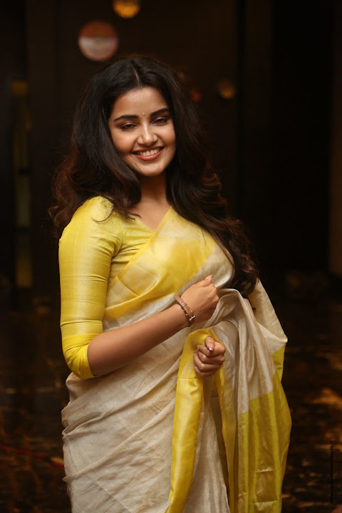 Anupama Parameswaran at SVC Success Celebrations