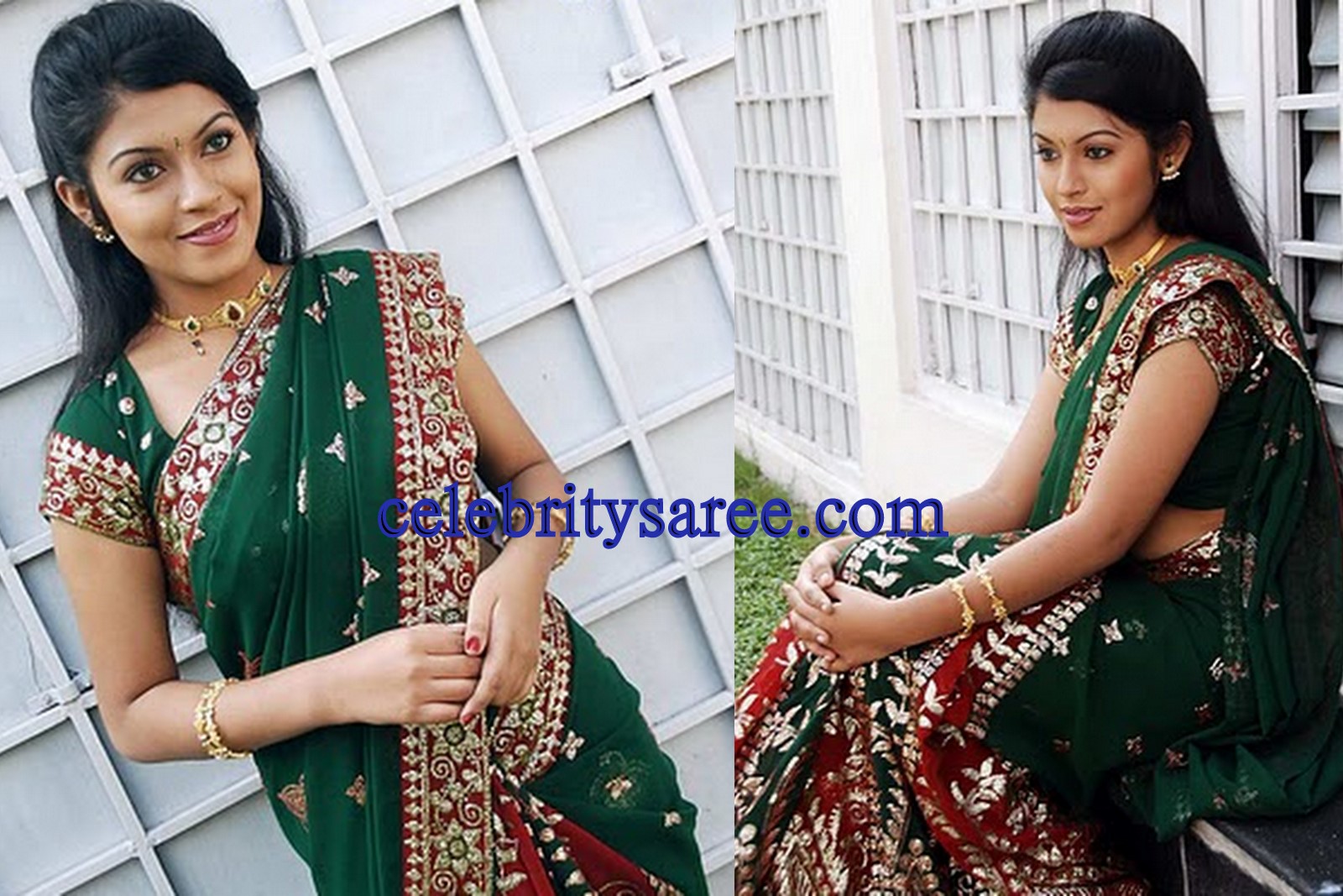 Embroidery sarees,Online Embroidery saris,Fancy dye Embroidery