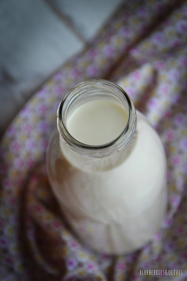 LECHE CASERA DE ANACARDOS Y SÉSAMO