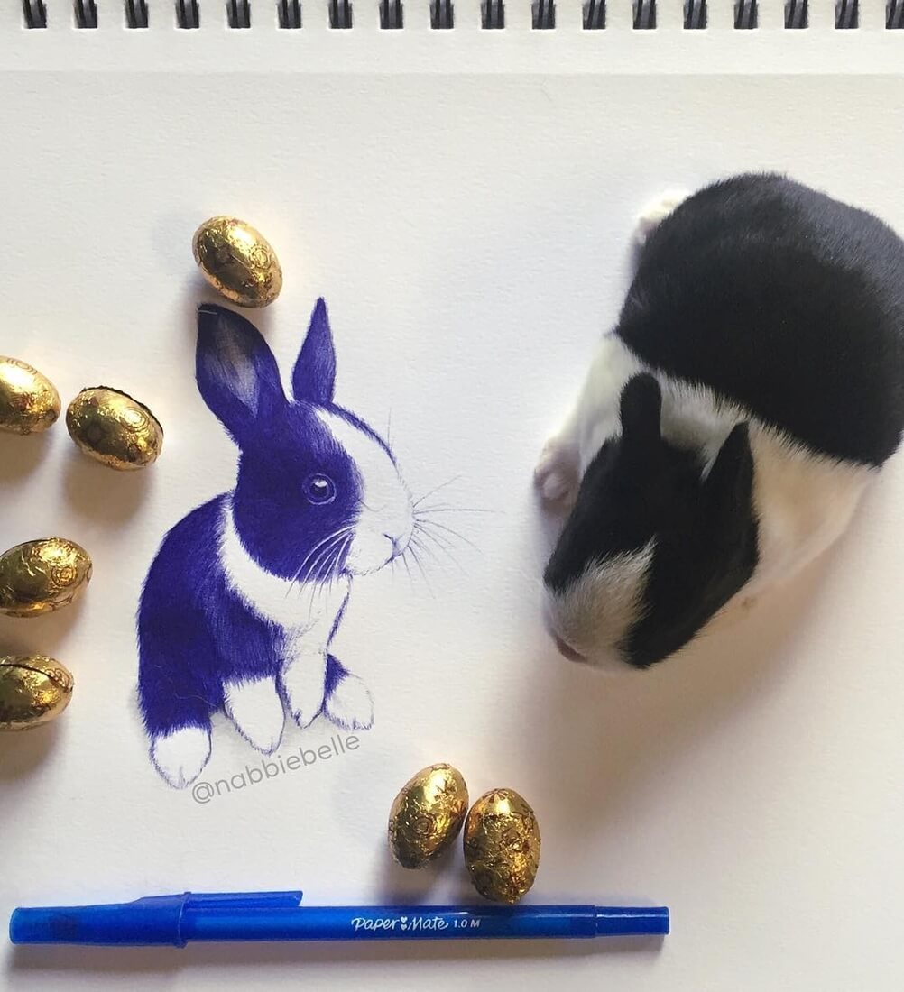 04-Bunny-Rabbit-Annabelle-Marie-Inked-Animals-Drawn-in-Ballpoint-Pen-www-designstack-co