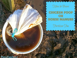 manure horse chicken tea poop fertilizer garden eggs gardening chickens compost fresh plants brew liquid hydroponics organic angora daily coop