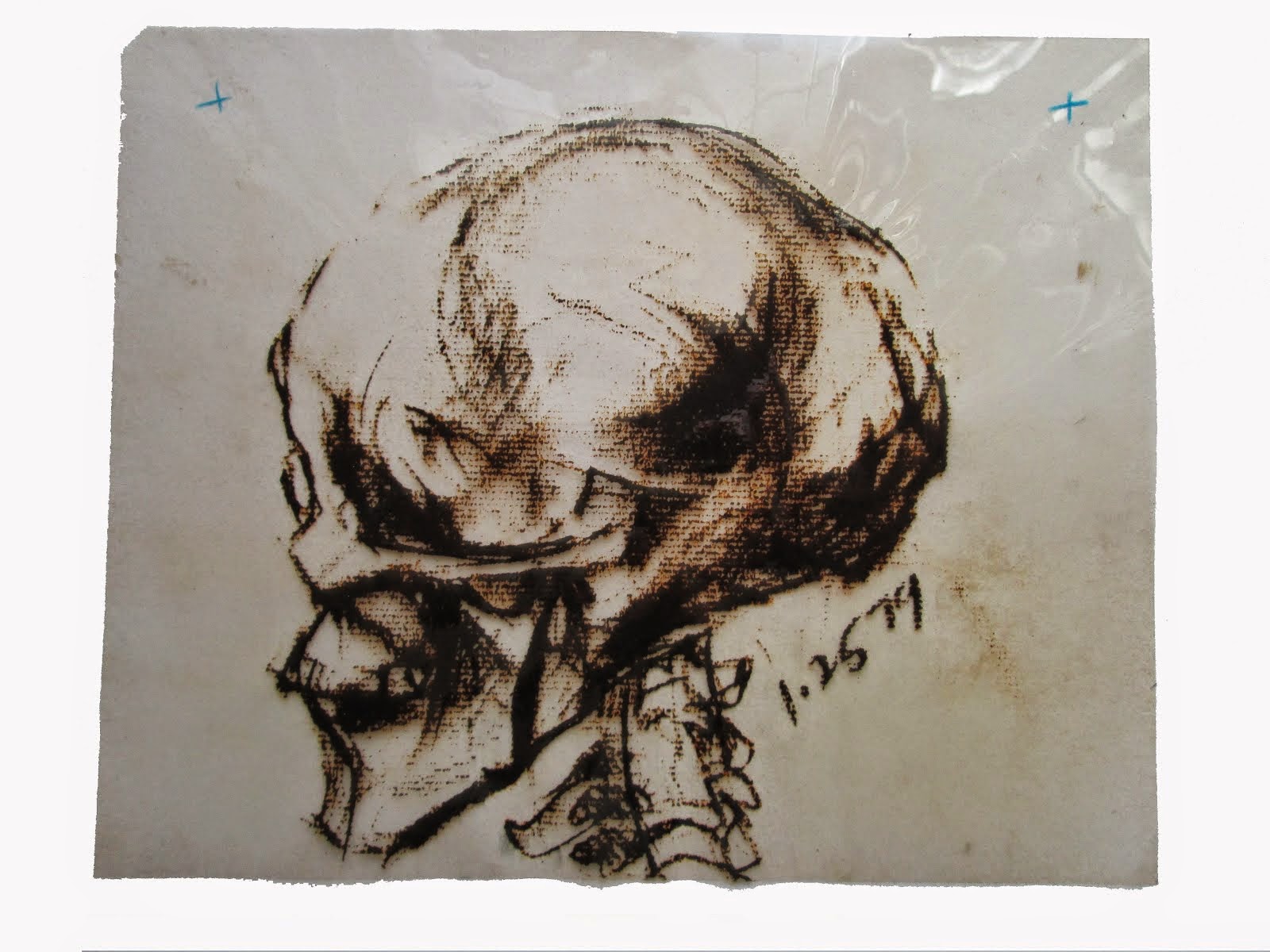 study of skull