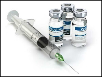 Malaria Vaccine Pilot Programme Malaria Vaccine Pilot Programme