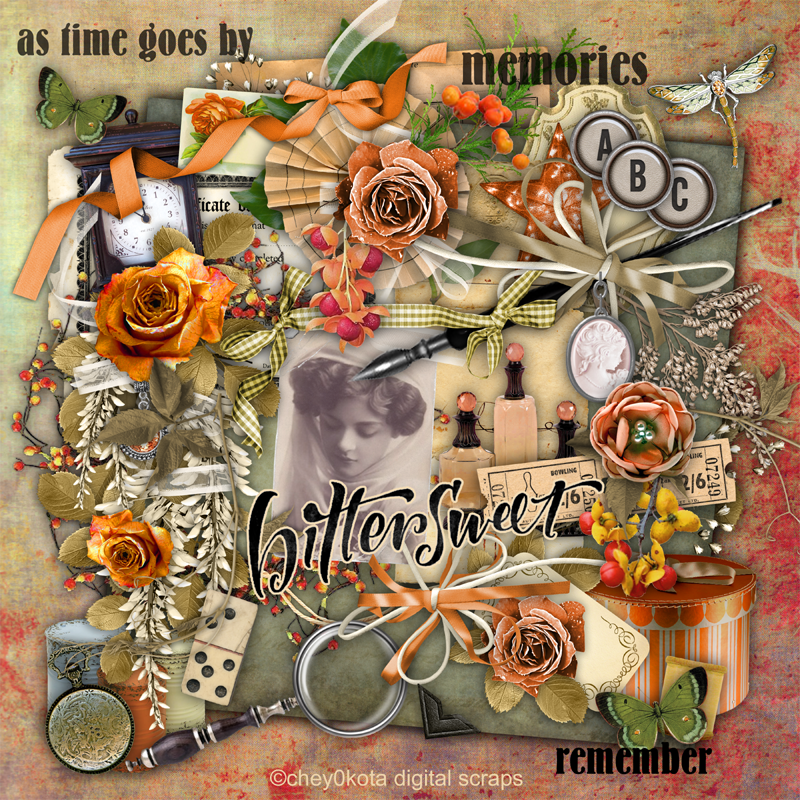 Bittersweet memories photography decatur il image