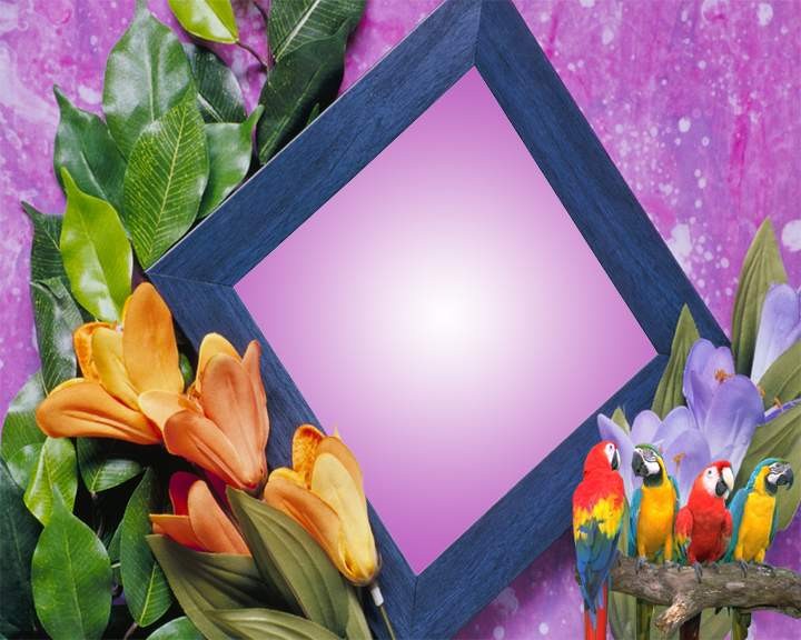 Frames Designs Wallpapers Free Download DOWNLOAD WALLPAPERS HD FREE