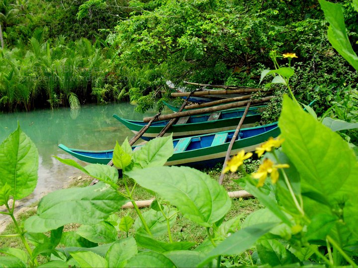 ALOGUINSAN: Tourists Spots