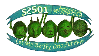 SS501 Let me be the one Forever