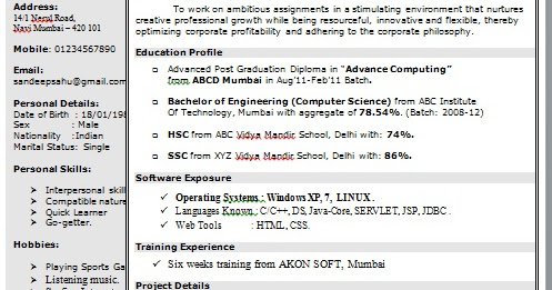 single page resume doc