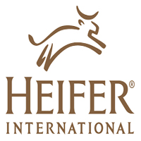 heifer international opportunity job development advisor senior business ajira yako