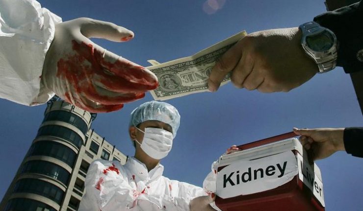 IL BACO TRAFFICO DI ORGANI UMANI II. MERCATO NERO DI ORGANI UMANI di