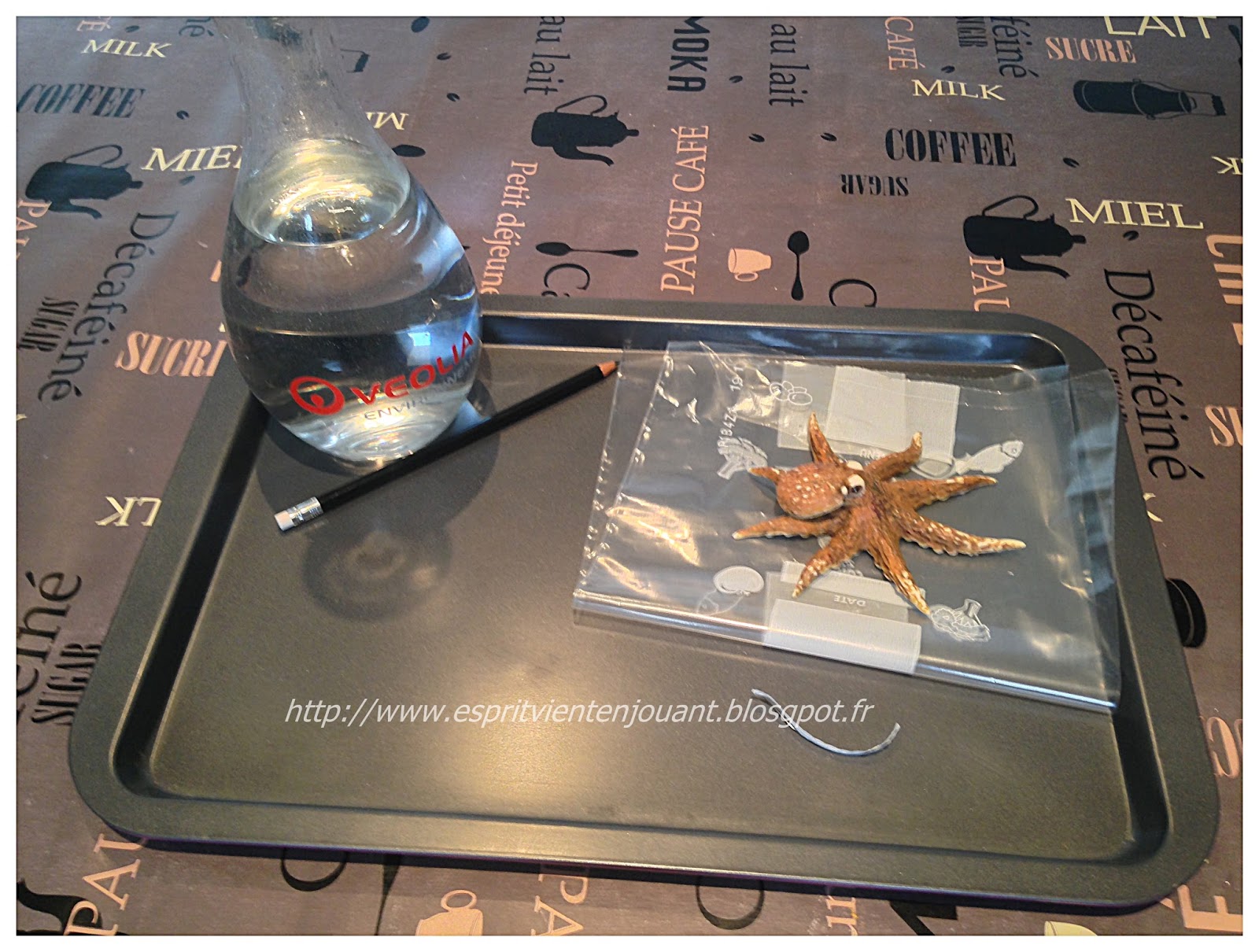 L'esprit vient en jouant [Expérience scientifique] Transpercer un sac d'eau avec un crayon à