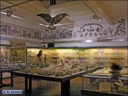 La Biodiversidad Museo la Salle