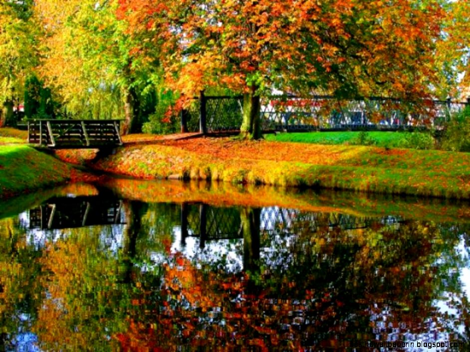 Fall Screensavers Related Keywords  Suggestions   Fall