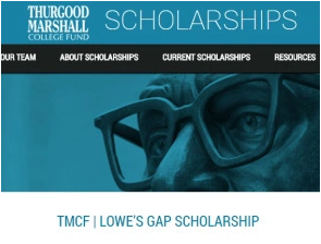 Thurgood Marshall Essays
