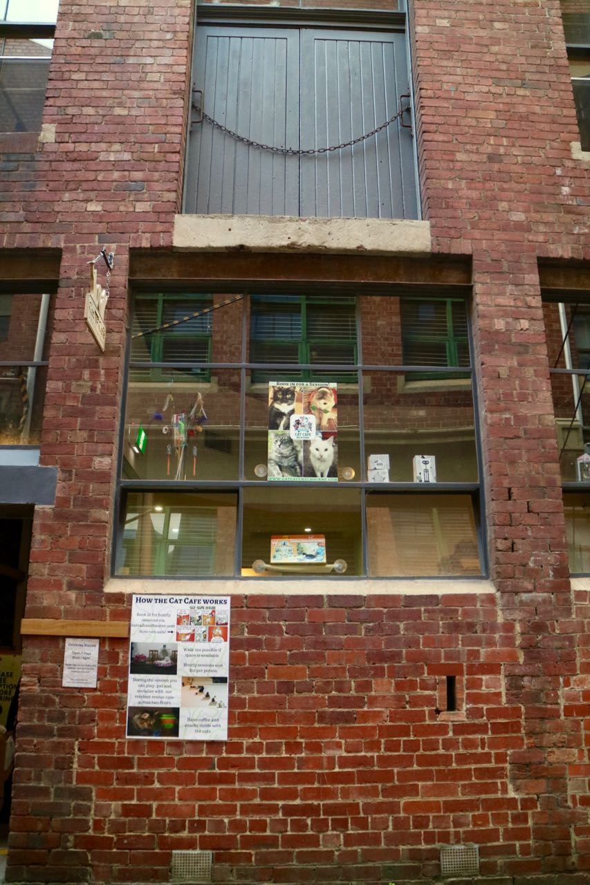 Green Gourmet Giraffe Cat Cafe, Melbourne CBD