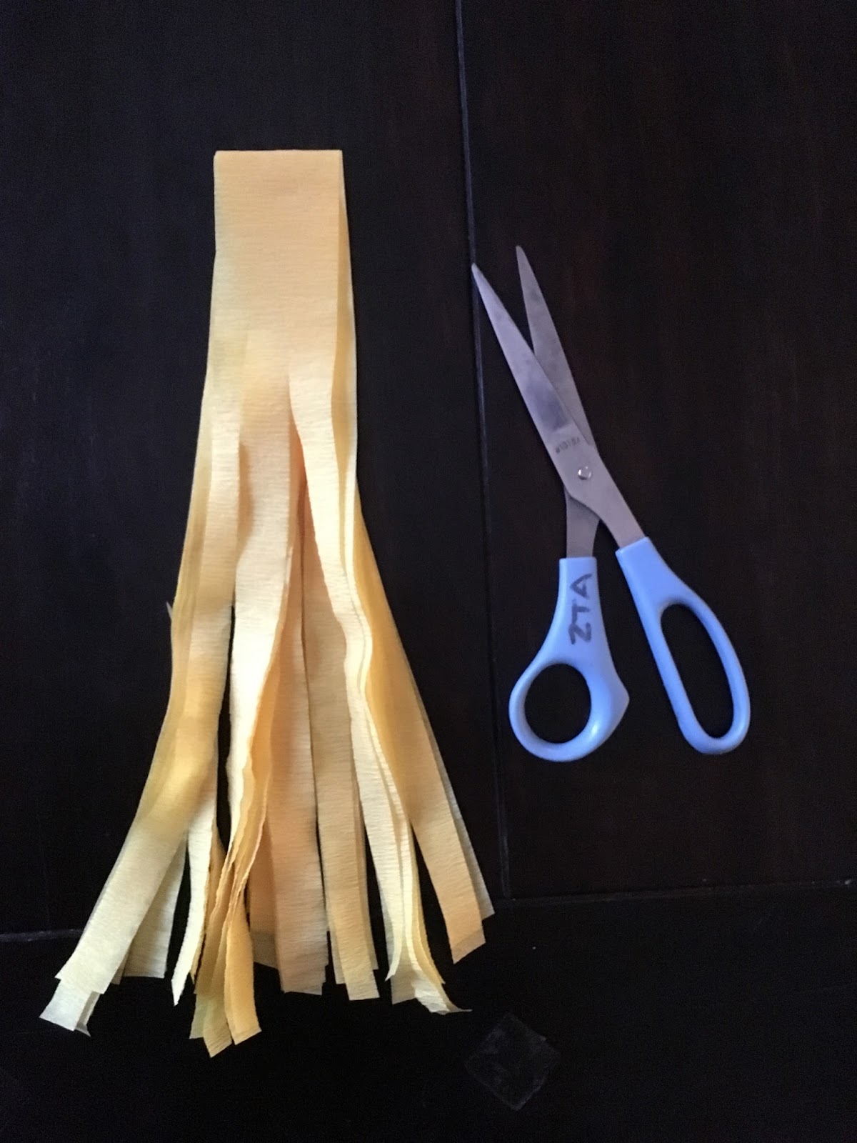 Crafty Texas Girls DIY Crepe Paper Tassel Garland