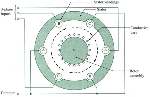 Ac Motor Induction ~ Ac Motor Kit Picture