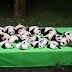 FILHOTE DE PANDA "CAUSA" EM APRESENTAÇÃO E VIRALIZA NA WEB