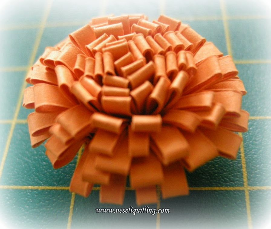 quilling-fringed-flower