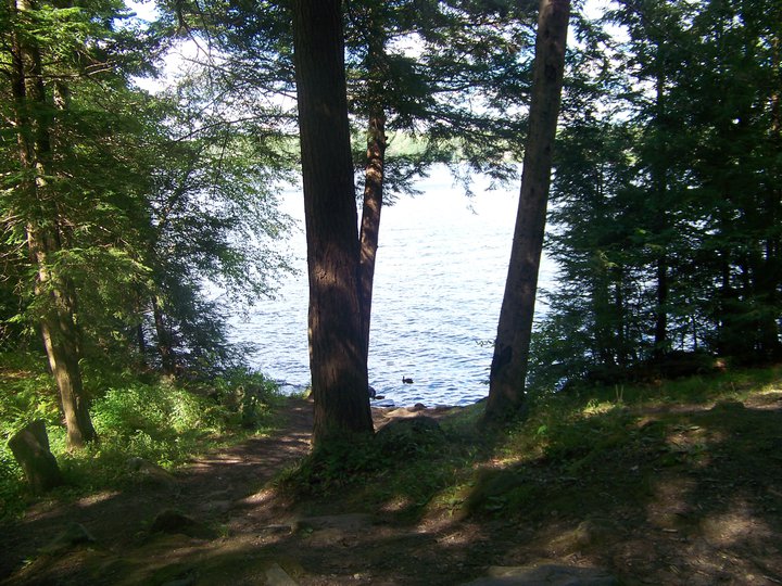 Camping in the Coleman Tolland State Forest, East Otis, MA