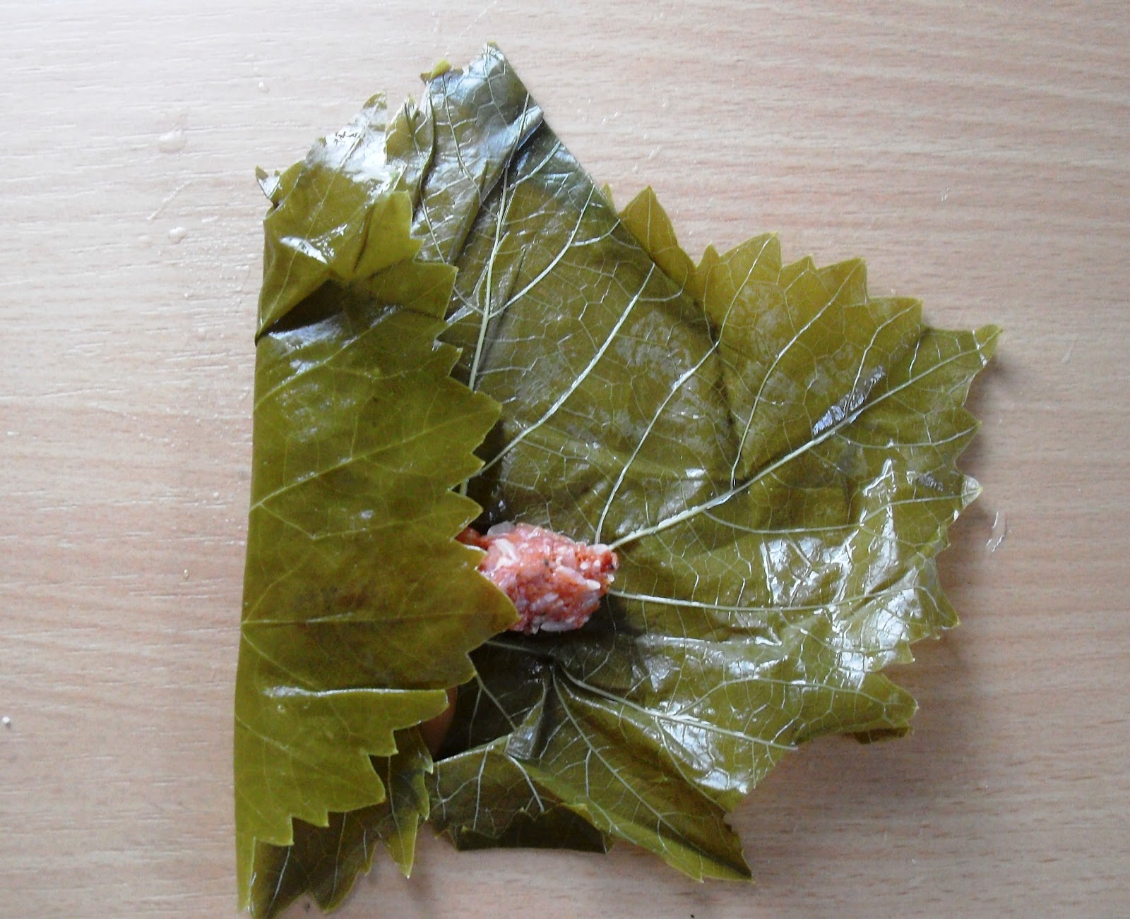 Gefüllte Weinblätter (Dolma)