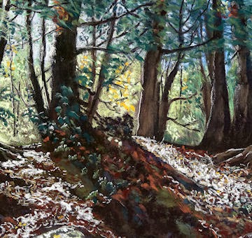 Sunlit Forest     Pastel on Sennelier Paper