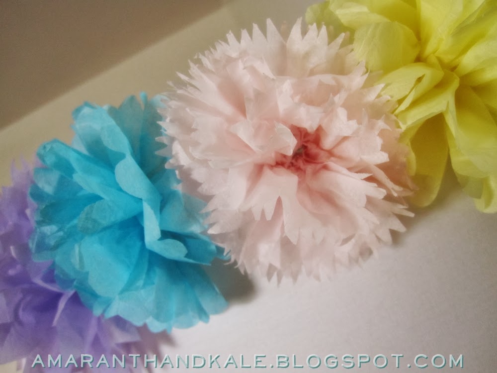 Amaranth & Kale Tissue Pom Pom Garland