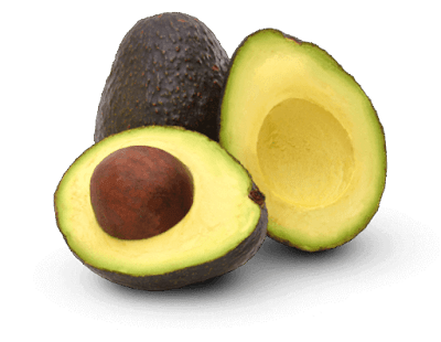 buah avocado untuk kencing manis
