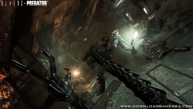 Aliens vs Predator   Download game PS3 PS4 PS2 RPCS3 PC free - 9