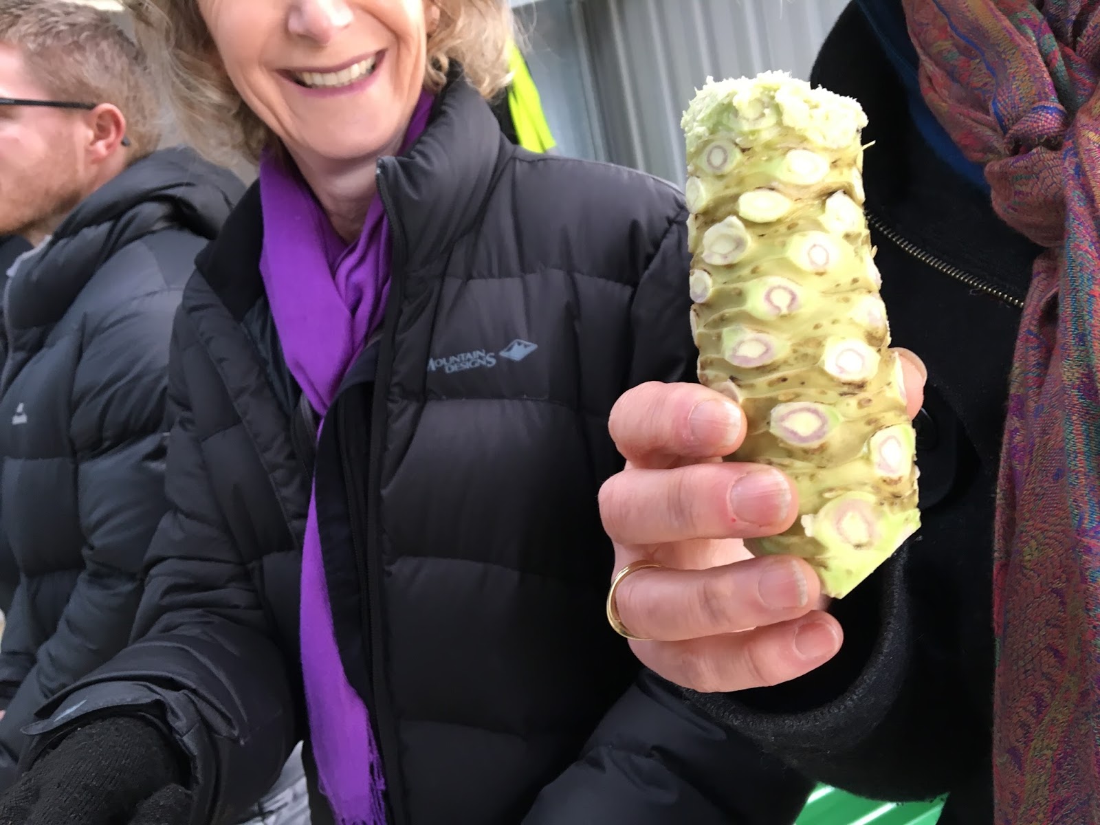 Huon View Japanese wasabi, grown in Tasmania