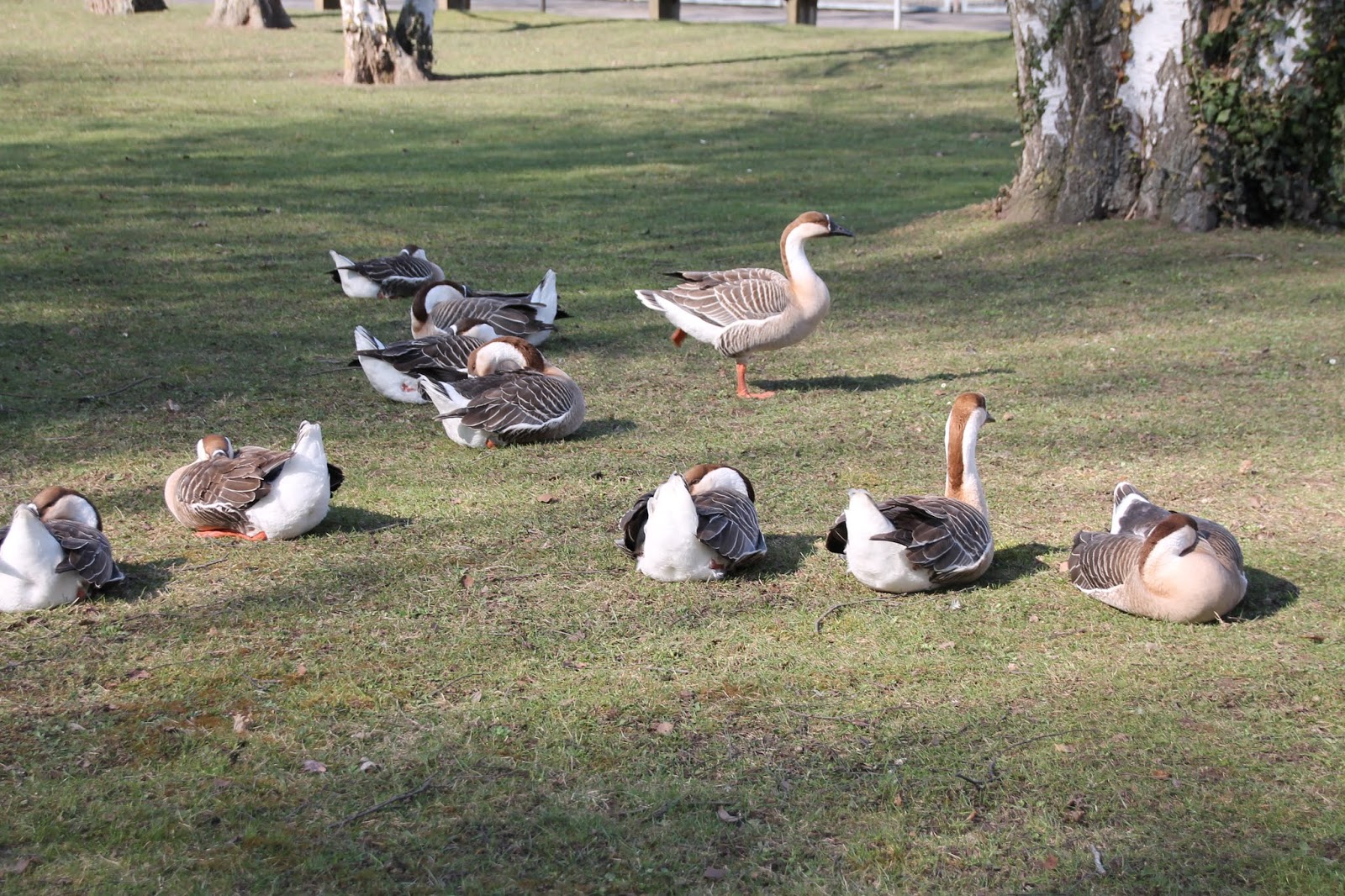 Mia Seeger 1903 1991 Eine Designerin